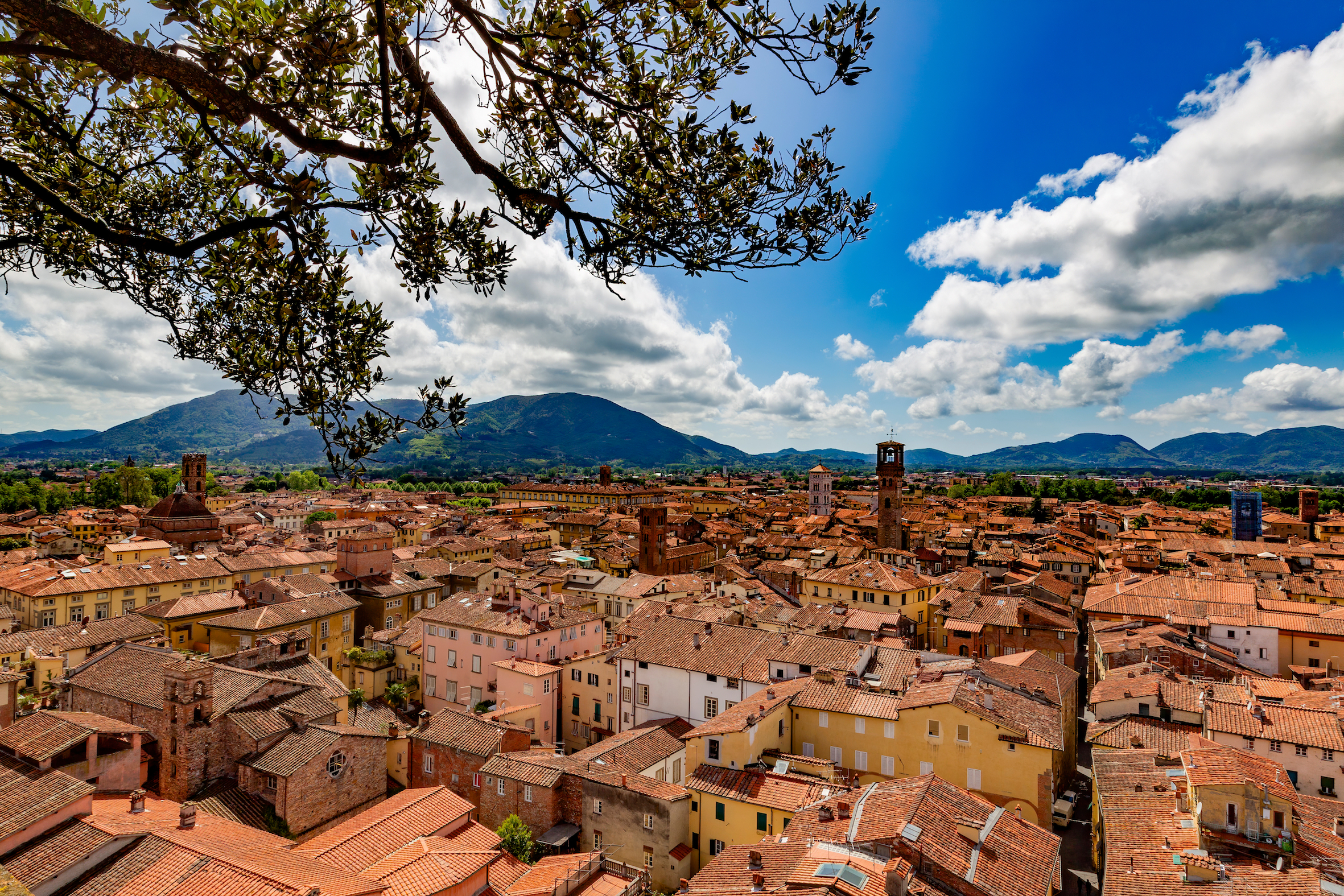 affitti brevi lucca affitti brevi lucca